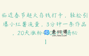 临近春节超火存钱打卡，轻松引爆小红薯流量，3分钟一条作品，20天涨粉4000+【揭秘】