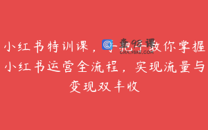 小红书特训课，手把手教你掌握小红书运营全流程，实现流量与变现双丰收