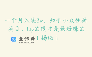 一个月入袋3w，知乎小众性癖项目，Lsp的钱才是最好赚的【揭秘】