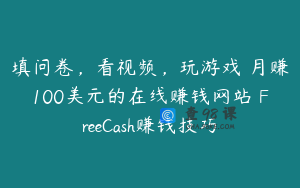 填问卷，看视频，玩游戏 月赚100美元的在线赚钱网站 FreeCash赚钱技巧