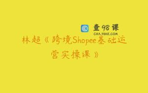林超《跨境Shopee基础运营实操课》