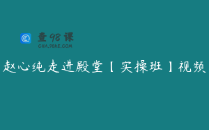 赵心纯走进殿堂【实操班】视频