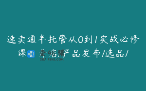 速卖通半托管从0到1实战必修课，开店/产品发布/选品/