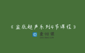 《盆底超声系列4节课程》