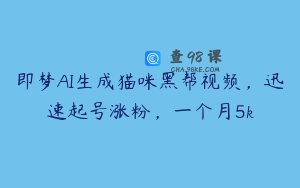 即梦AI生成猫咪黑帮视频，迅速起号涨粉，一个月5k