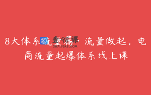 8大体系流量篇·流量做起，电商流量起爆体系线上课