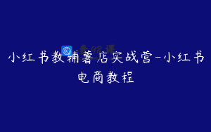 小红书教辅薯店实战营-小红书电商教程