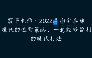 震宇老师·2022年淘宝店铺赚钱的运营策略，一套能够盈利的赚钱打法