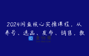 2024闲鱼核心实操课程，从养号、选品、发布、销售，教