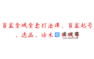 盲盒全域全套打法课，盲盒起号、选品、话术、私域等
