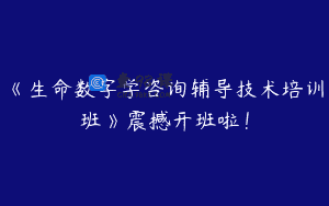 《生命数字学咨询辅导技术培训班》震撼开班啦！