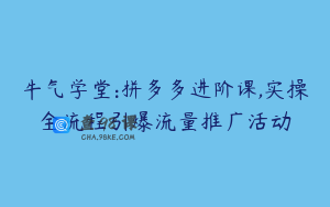 牛气学堂:拼多多进阶课,实操全流程引爆流量推广活动