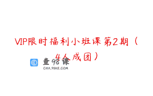 VIP限时福利小班课第2期（4人成团）