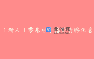 「新人」零基础手播带货孵化营