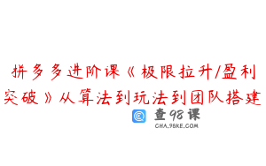 拼多多进阶课《极限拉升/盈利突破》从算法到玩法到团队搭建