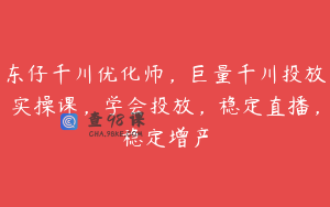 东仔千川优化师，巨量千川投放实操课，学会投放，稳定直播，稳定增产