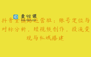 抖音全链路运营班：账号定位与对标分析，短视频创作，投流变现与私域搭建
