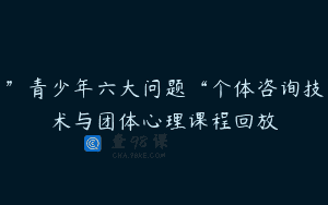”青少年六大问题“个体咨询技术与团体心理课程回放