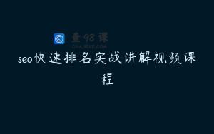 seo快速排名实战讲解视频课程