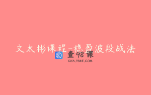 文太彬课程-稳盈波段战法