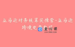 亚马逊财务核算实操营-亚马逊跨境电商教程