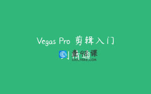 Vegas Pro 剪辑入门到精通