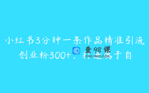 小红书3分钟一条作品精准引流创业粉300+，打造属于自