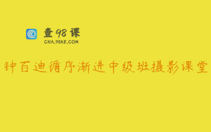 钟百迪循序渐进中级班摄影课堂