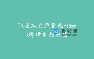 TK虚拟资源变现-tiktok跨境电商教程