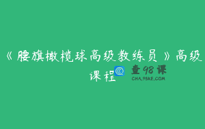 《腰旗橄榄球高级教练员》高级课程