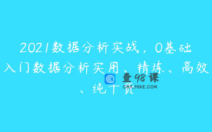 2021数据分析实战，0基础入门数据分析实用、精炼、高效、纯干货