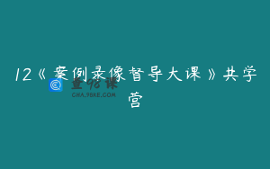 12《案例录像督导大课》共学营