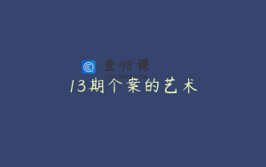 13期个案的艺术
