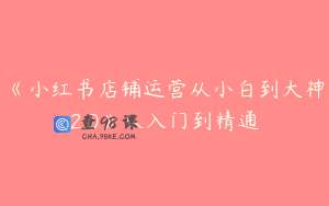 《小红书店铺运营从小白到大神2.0》从入门到精通