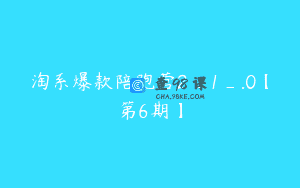 淘系爆款陪跑营2_1_.0【第6期】