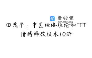 田茂平：中医经络理论和EFT情绪释放技术10讲