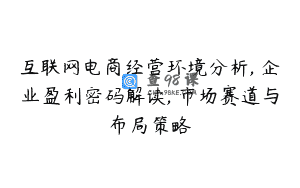 互联网电商经营环境分析, 企业盈利密码解读, 市场赛道与布局策略