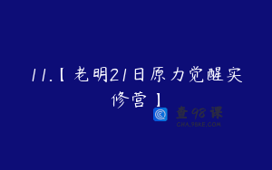11.【老明21日原力觉醒实修营】