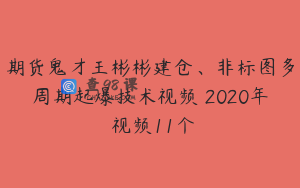 期货鬼才王彬彬建仓、非标图多周期起爆技术视频 2020年 视频11个