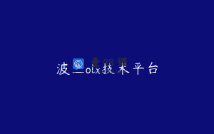 波兰olx技术平台