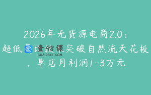2026年无货源电商2.0：超低费比技术突破自然流天花板，单店月利润1-3万元