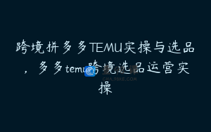 跨境拼多多TEMU实操与选品，多多temu跨境选品运营实操
