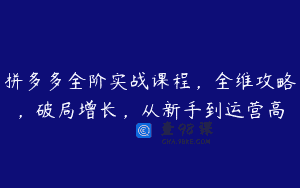 拼多多全阶实战课程，全维攻略，破局增长，从新手到运营高