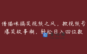 借猫咪搞笑视频之风，掀视频号爆笑故事潮，轻松日入四位数