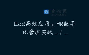 Excel高效应用：HR数字化管理实战_1_