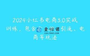 2024小红书电商3.0实战训练，包含个人IP、引流、电商等玩法