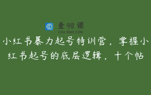 小红书暴力起号特训营，掌握小红书起号的底层逻辑，十个帖
