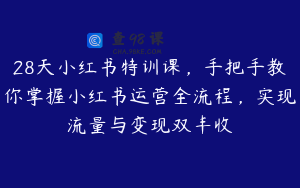 28天小红书特训课，手把手教你掌握小红书运营全流程，实现流量与变现双丰收