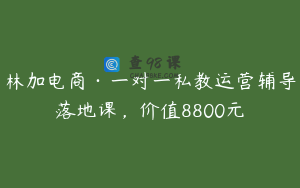 林加电商·一对一私教运营辅导落地课，价值8800元