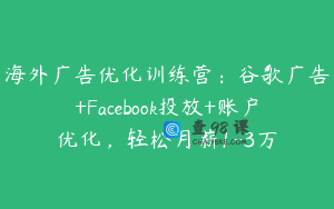 海外广告优化训练营：谷歌广告+Facebook投放+账户优化，轻松月薪1-3万